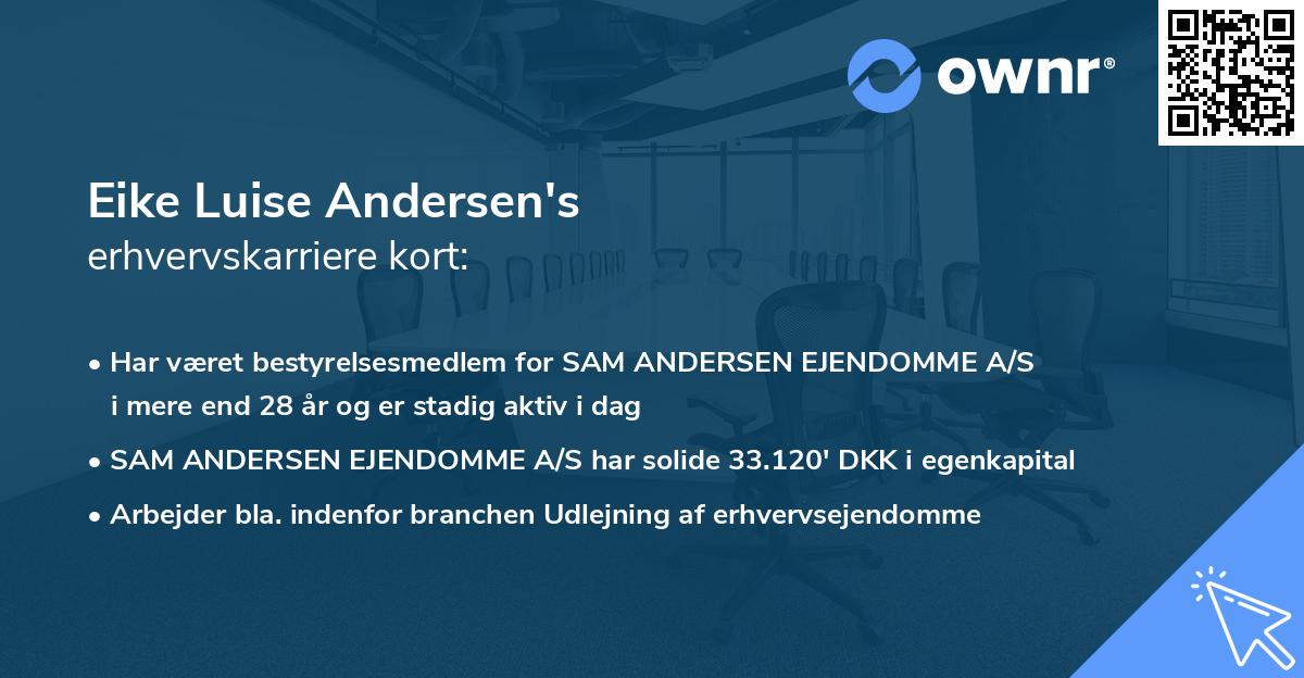 Eike Luise Andersen's erhvervskarriere kort