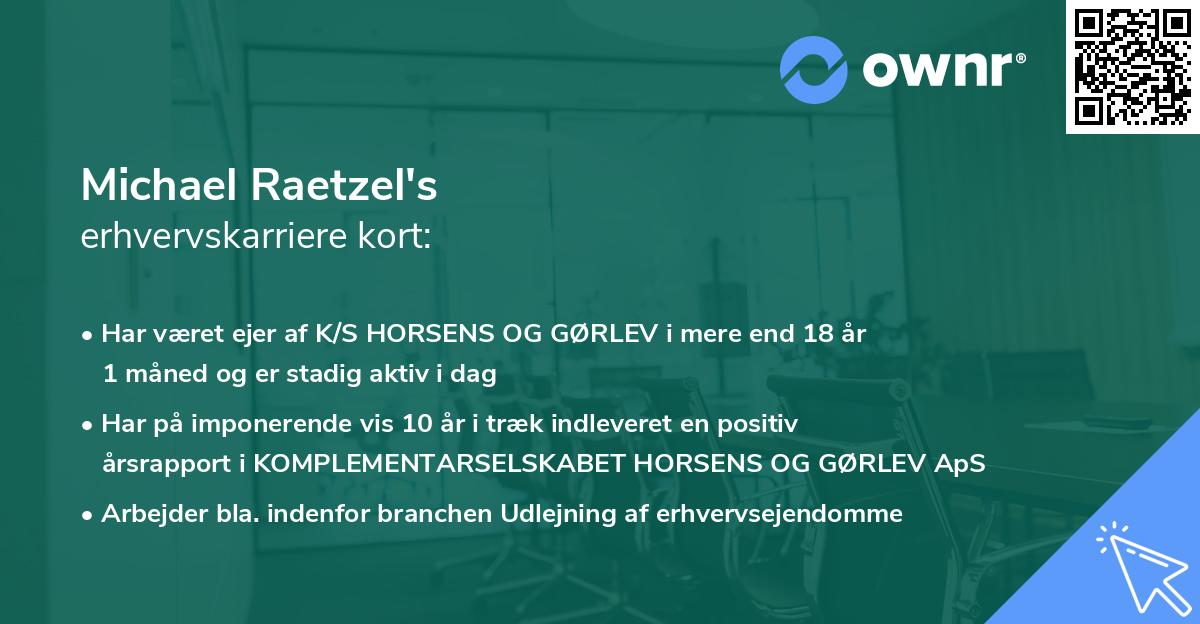 Michael Raetzel's erhvervskarriere kort