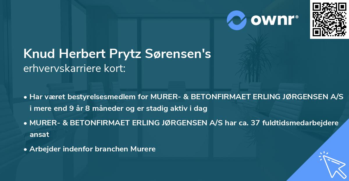 Knud Herbert Prytz Sørensen's erhvervskarriere kort