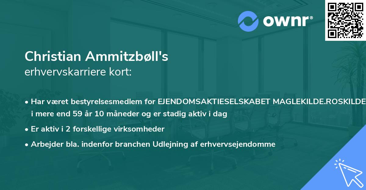 Christian Ammitzbøll's erhvervskarriere kort