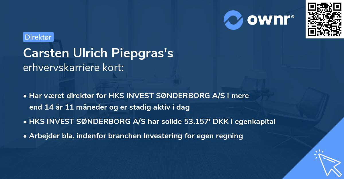 Carsten Ulrich Piepgras's erhvervskarriere kort