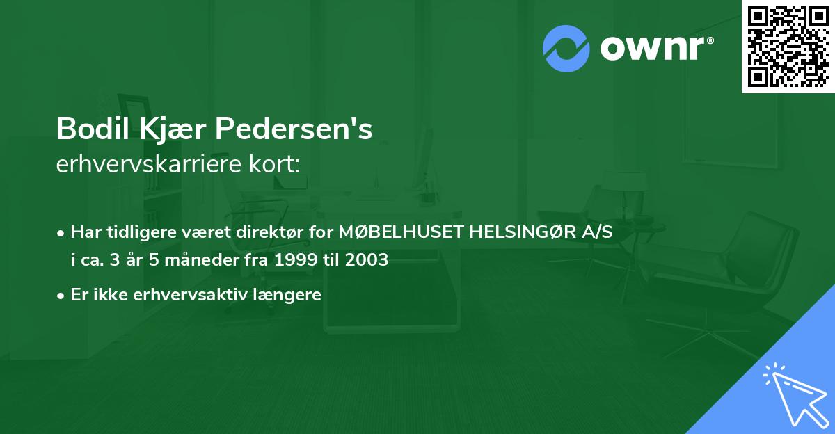 Bodil Kjær Pedersen's erhvervskarriere kort