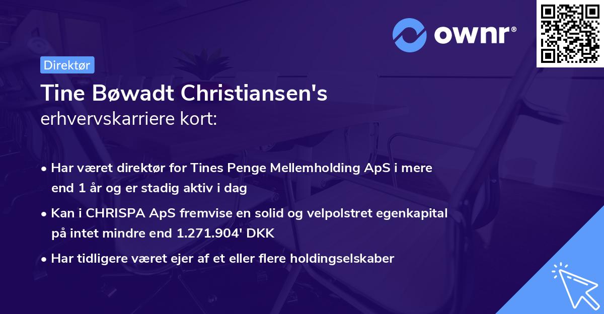 Tine Bøwadt Christiansen's erhvervskarriere kort