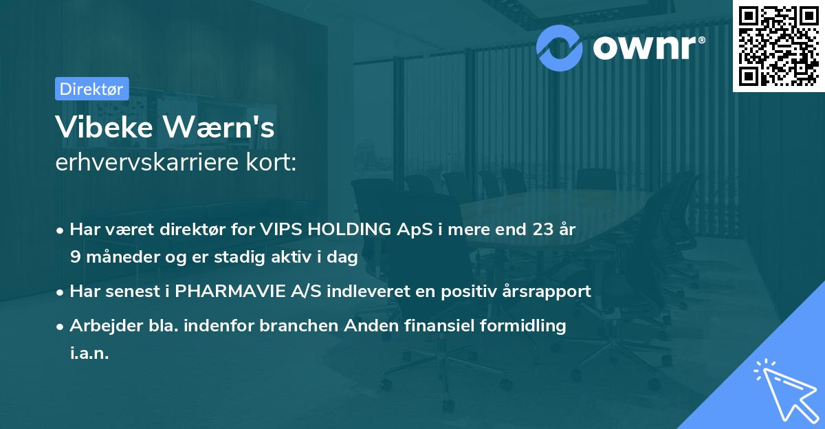 Vibeke Wærn's erhvervskarriere kort