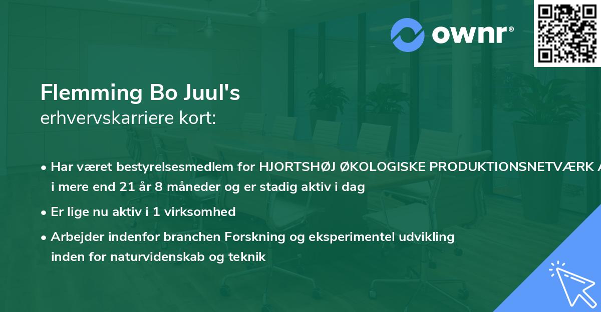 Flemming Bo Juul's erhvervskarriere kort