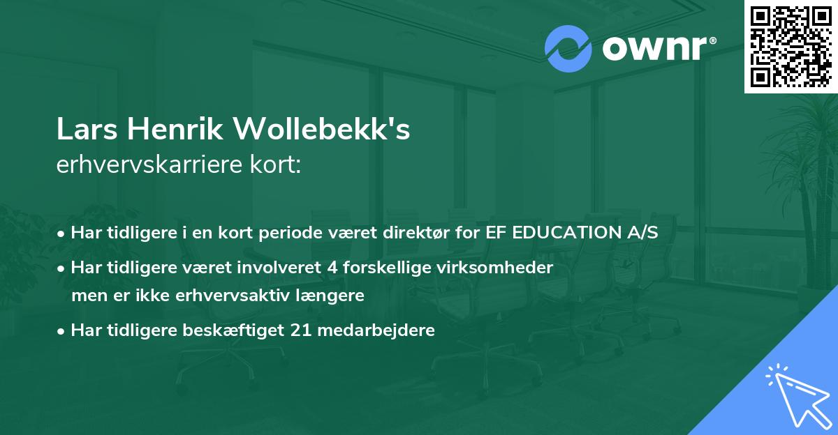 Lars Henrik Wollebekk's erhvervskarriere kort