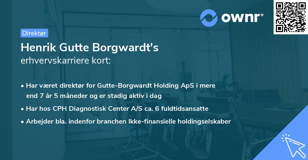 Henrik Gutte Borgwardt's erhvervskarriere kort