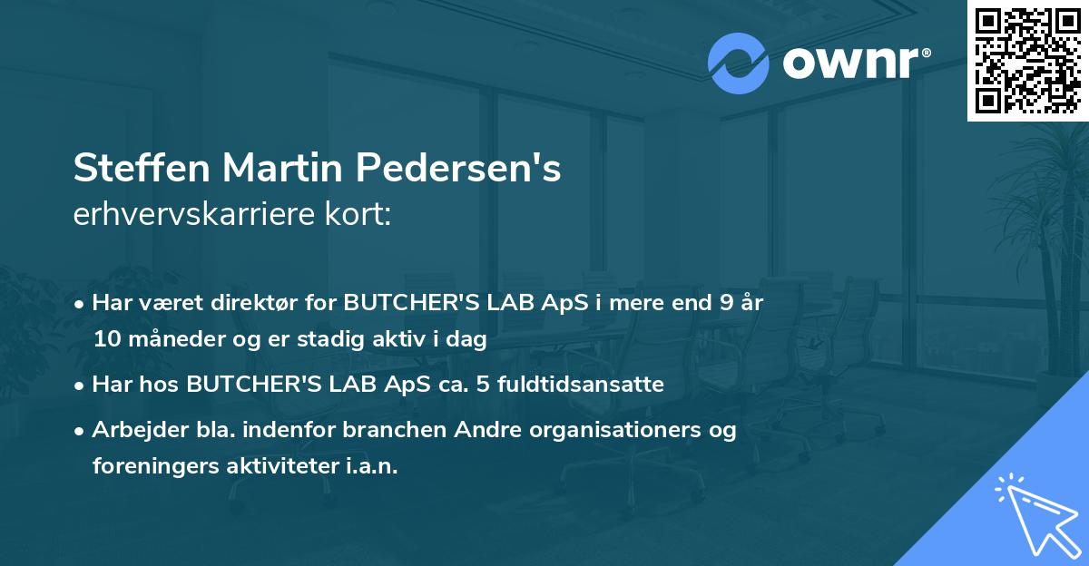 Steffen Martin Pedersen's erhvervskarriere kort