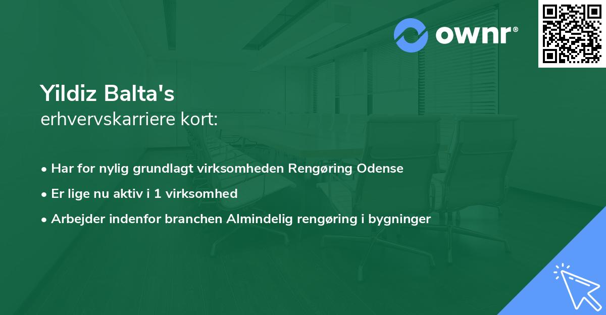 Yildiz Balta's erhvervskarriere kort