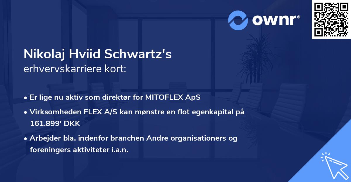 Nikolaj Hviid Schwartz's erhvervskarriere kort