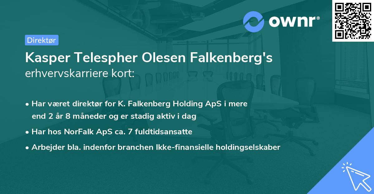 Kasper Telespher Olesen Falkenberg's erhvervskarriere kort