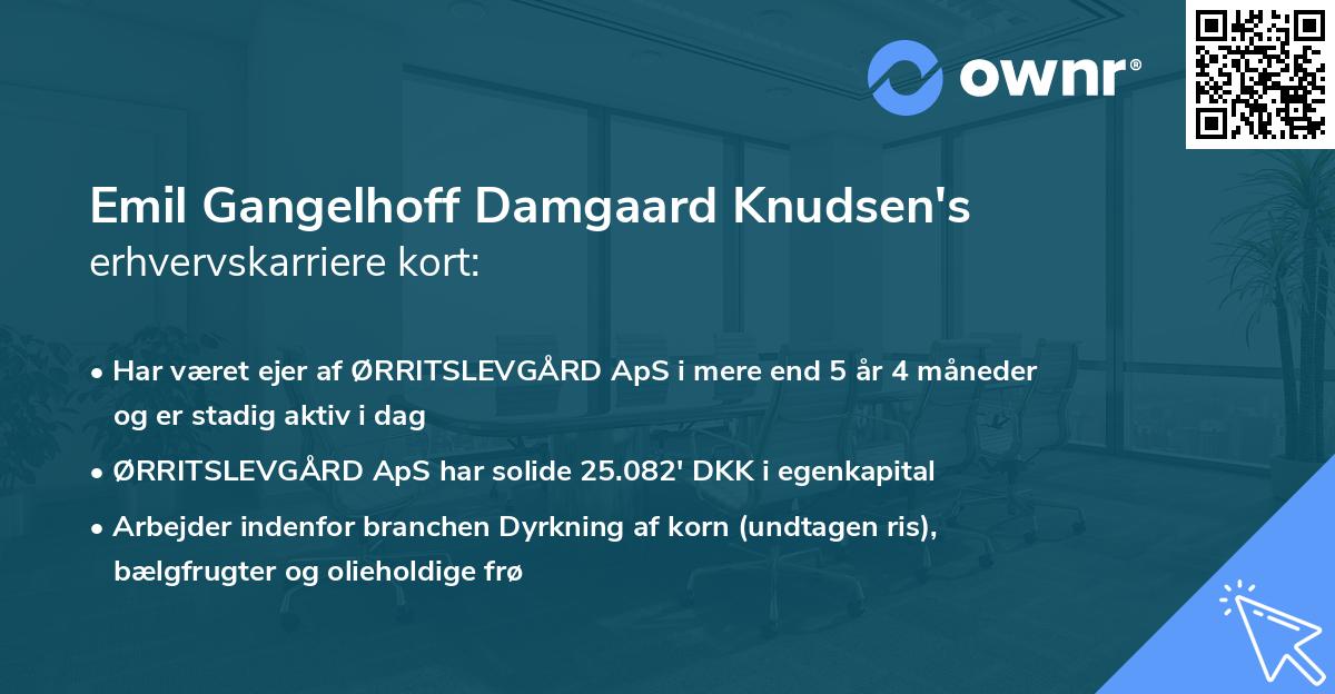 Emil Gangelhoff Damgaard Knudsen's erhvervskarriere kort