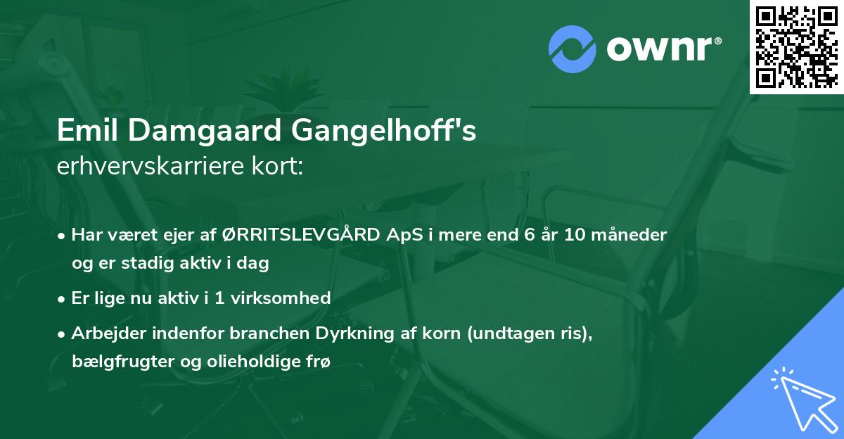 Emil Damgaard Gangelhoff's erhvervskarriere kort