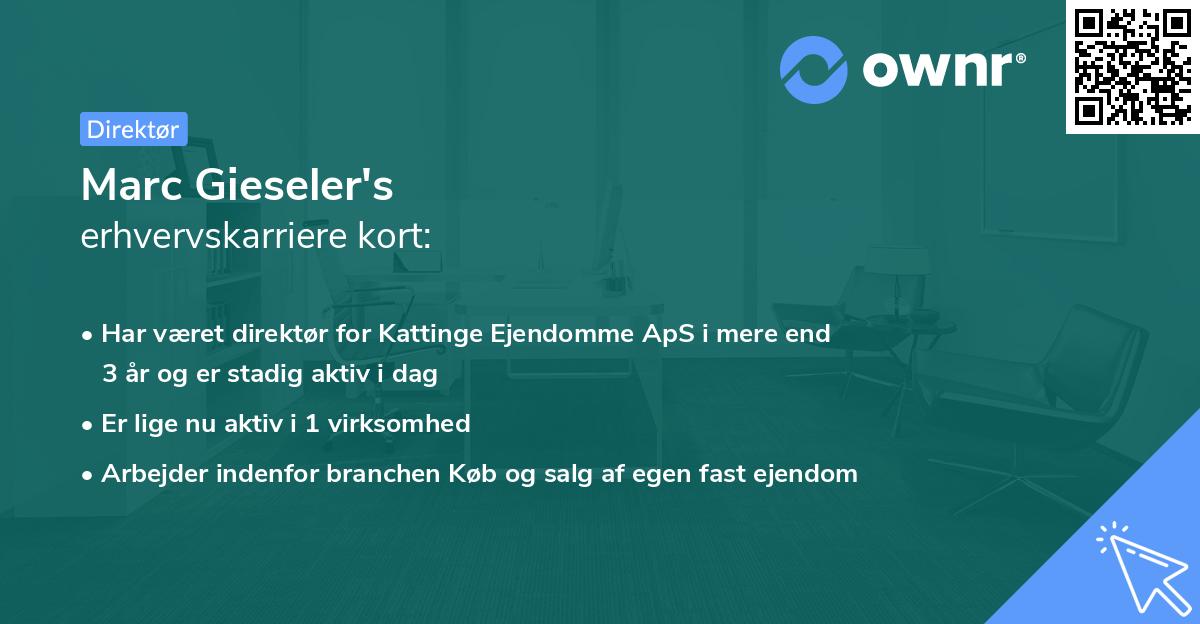Marc Gieseler's erhvervskarriere kort