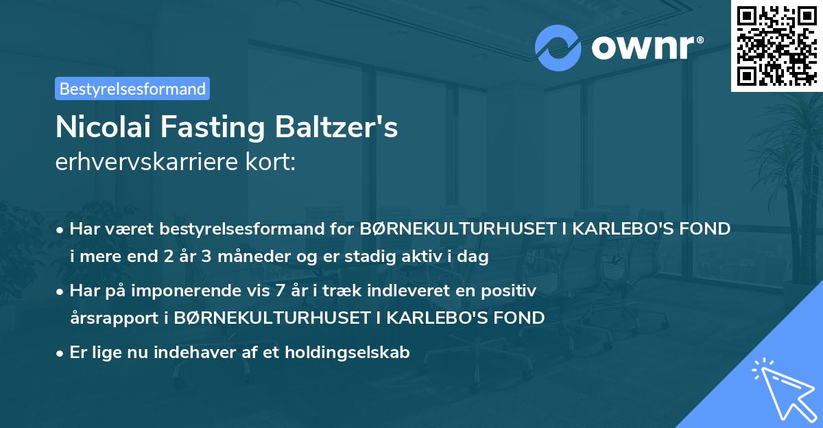 Nicolai Fasting Baltzer's erhvervskarriere kort