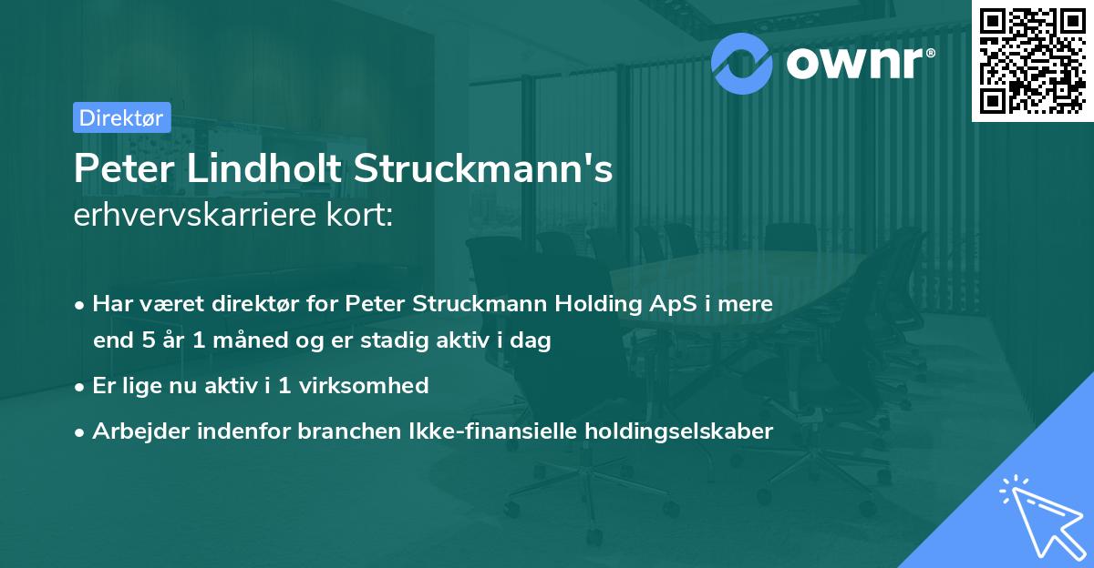 Peter Lindholt Struckmann's erhvervskarriere kort