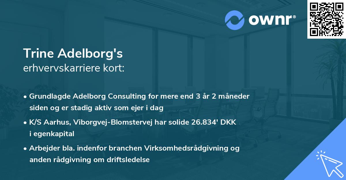 Trine Adelborg's erhvervskarriere kort