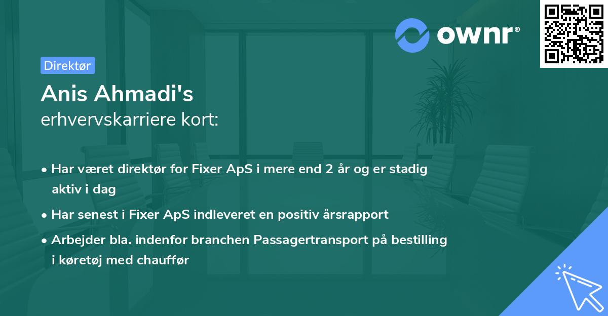 Anis Ahmadi's erhvervskarriere kort