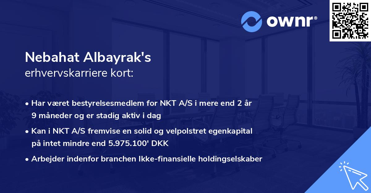 Nebahat Albayrak's erhvervskarriere kort