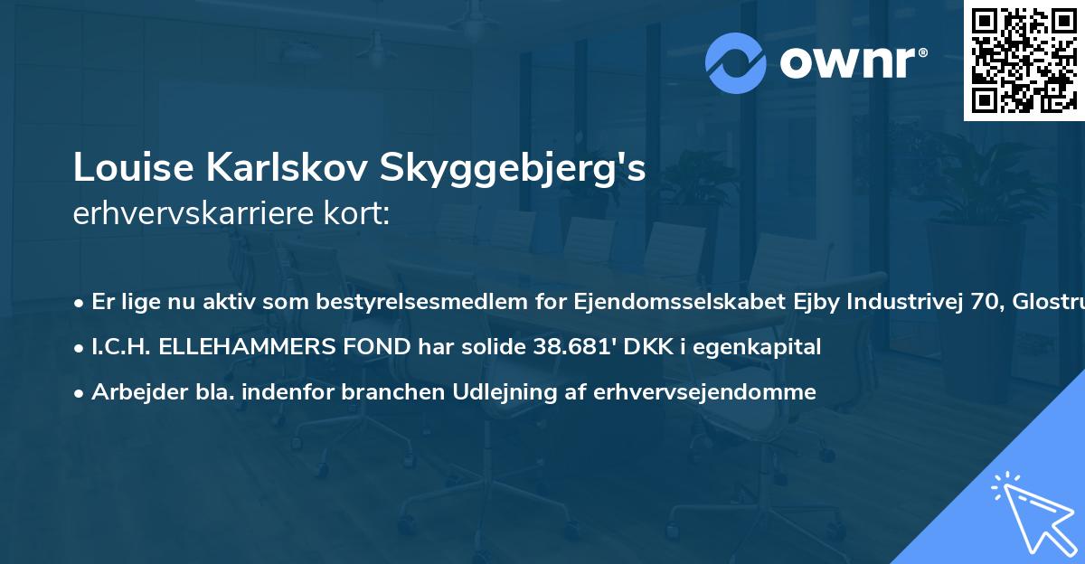 Louise Karlskov Skyggebjerg's erhvervskarriere kort