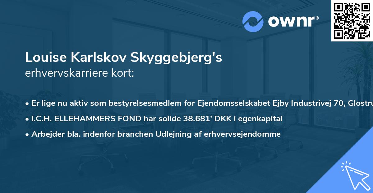 Louise Karlskov Skyggebjerg's erhvervskarriere kort