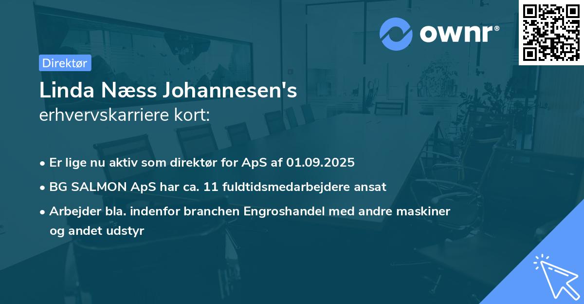 Linda Næss Johannesen's erhvervskarriere kort