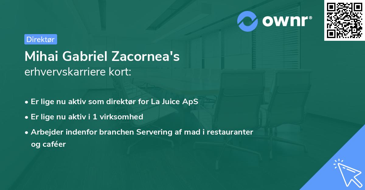 Mihai Gabriel Zacornea's erhvervskarriere kort