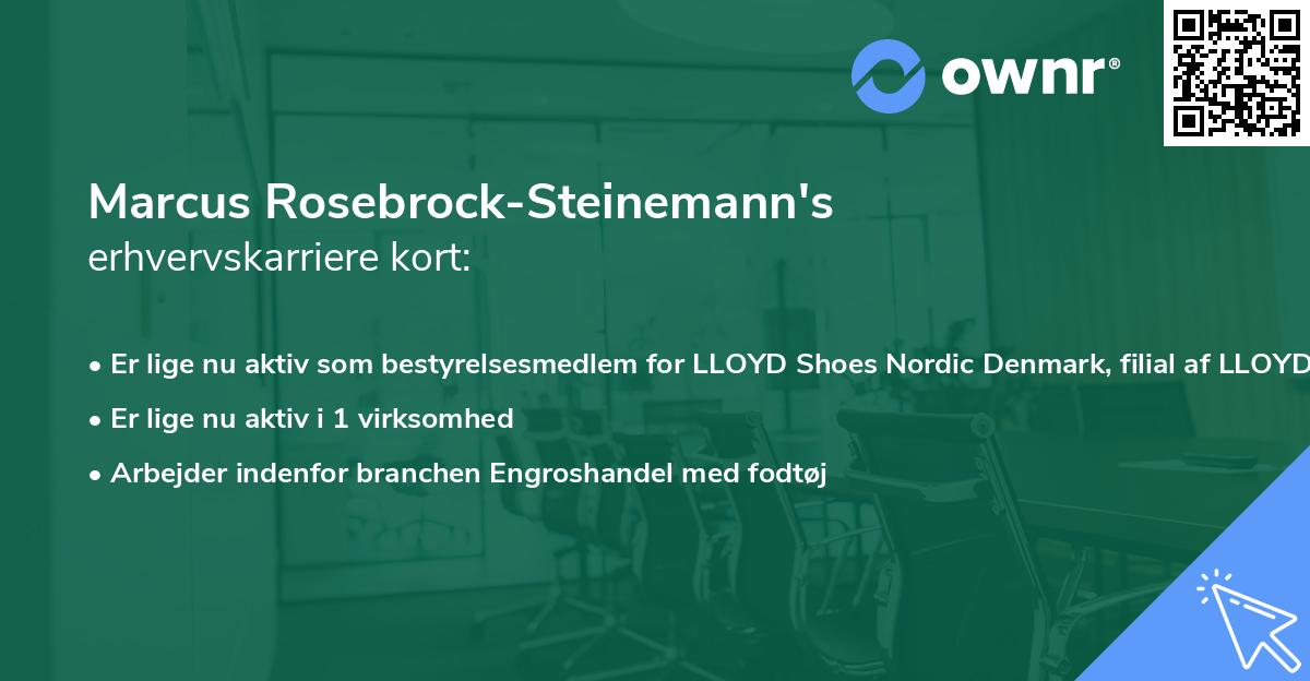Marcus Rosebrock-Steinemann's erhvervskarriere kort