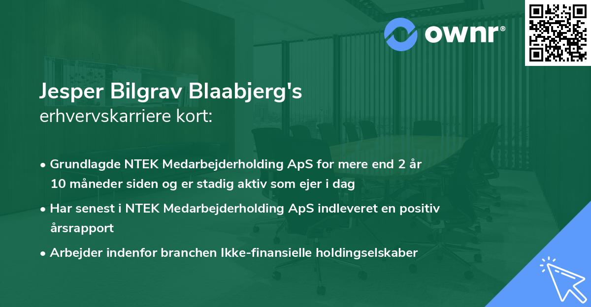 Jesper Bilgrav Blaabjerg's erhvervskarriere kort