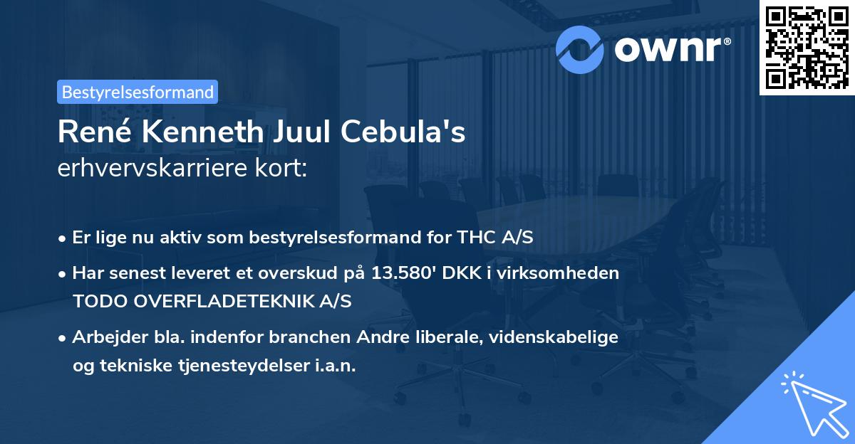 René Kenneth Juul Cebula's erhvervskarriere kort