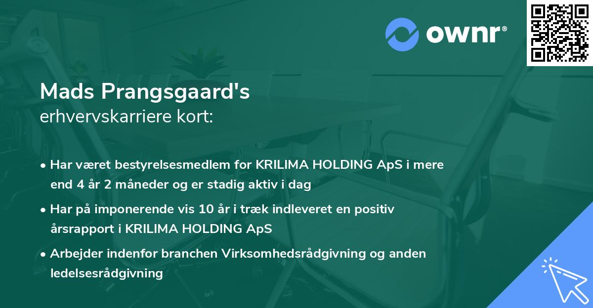 Mads Prangsgaard's erhvervskarriere kort