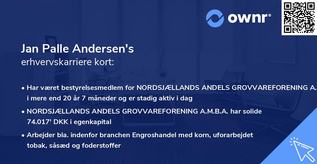 Jan Palle Andersen's erhvervskarriere kort