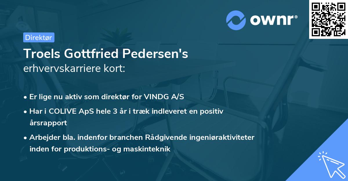 Troels Gottfried Pedersen's erhvervskarriere kort