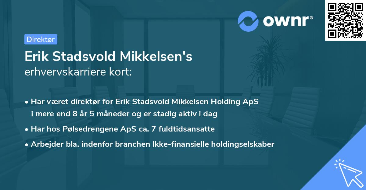 Erik Stadsvold Mikkelsen's erhvervskarriere kort