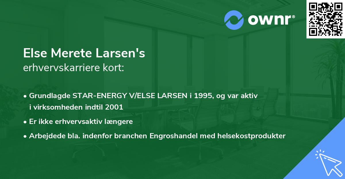 Else Merete Larsen's erhvervskarriere kort