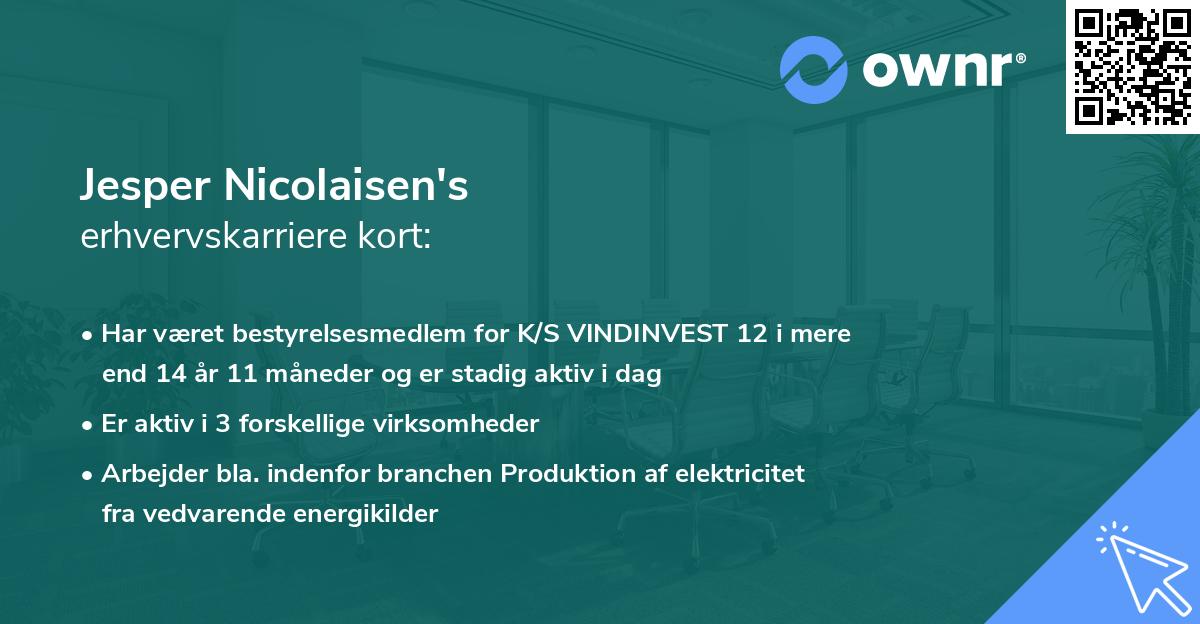 Jesper Nicolaisen's erhvervskarriere kort