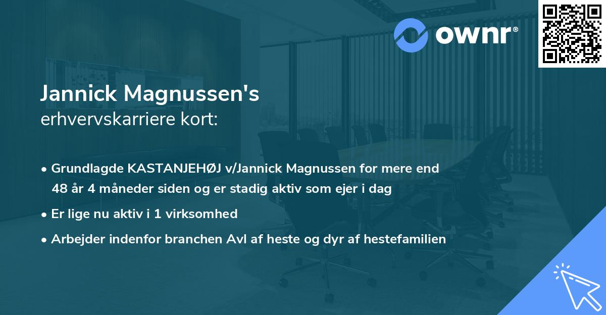 Jannick Magnussen's erhvervskarriere kort