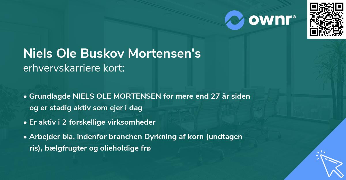 Niels Ole Buskov Mortensen's erhvervskarriere kort