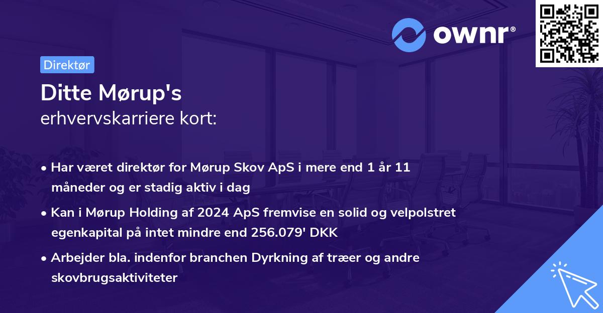 Ditte Mørup's erhvervskarriere kort
