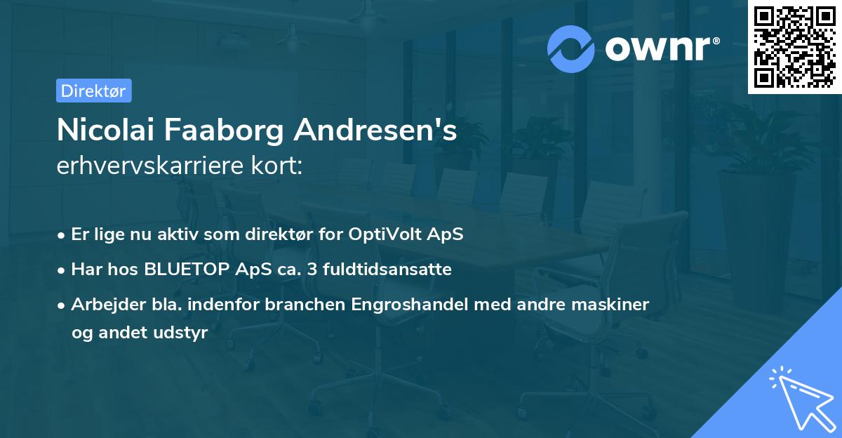 Nicolai Faaborg Andresen's erhvervskarriere kort