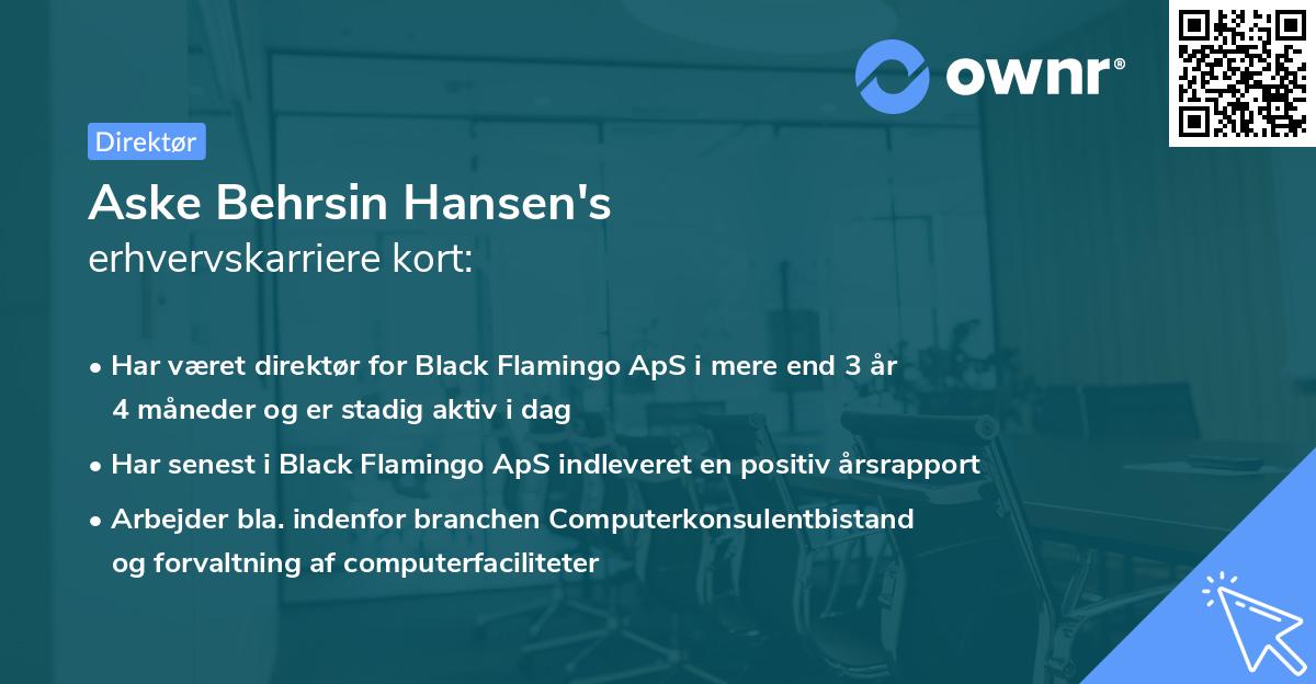 Aske Behrsin Hansen's erhvervskarriere kort