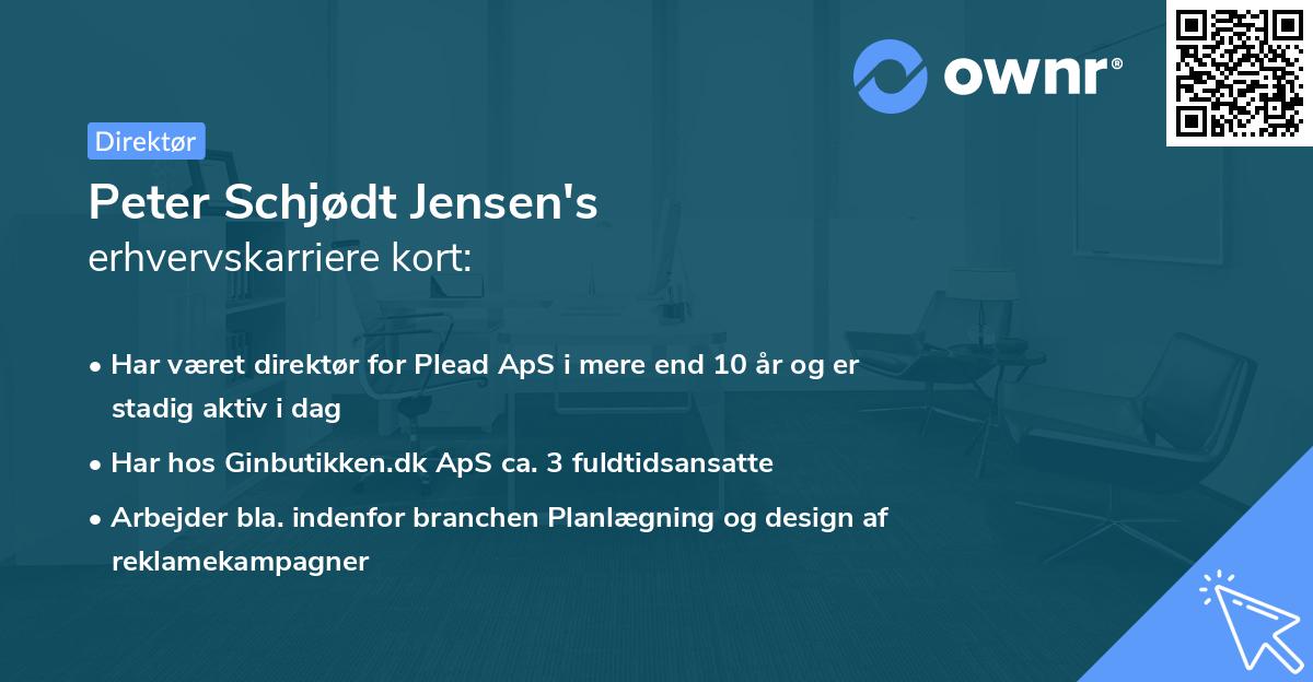 Peter Schjødt Jensen's erhvervskarriere kort