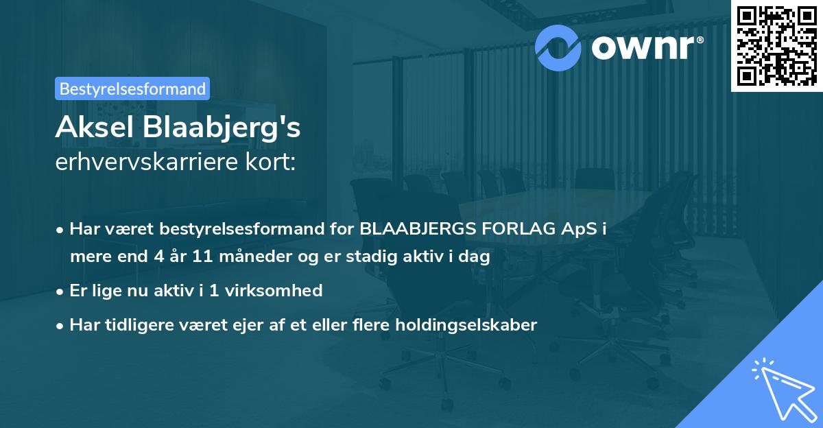 Aksel Blaabjerg's erhvervskarriere kort