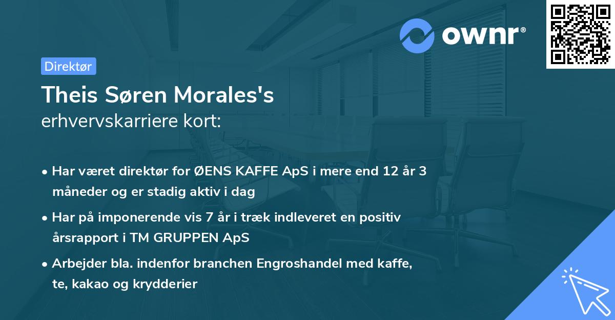 Theis Søren Morales's erhvervskarriere kort