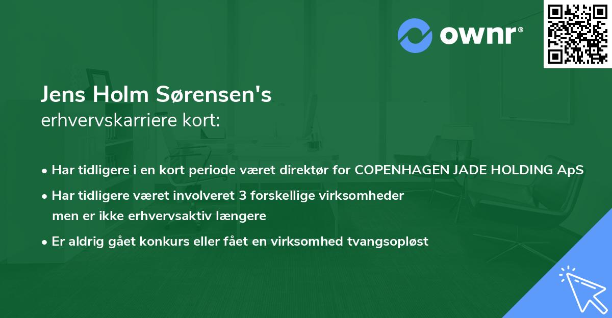 Jens Holm Sørensen's erhvervskarriere kort