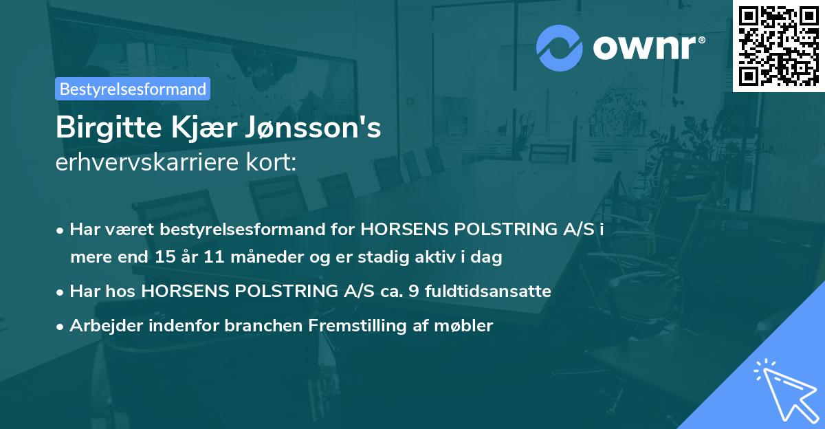 Birgitte Kjær Jønsson's erhvervskarriere kort