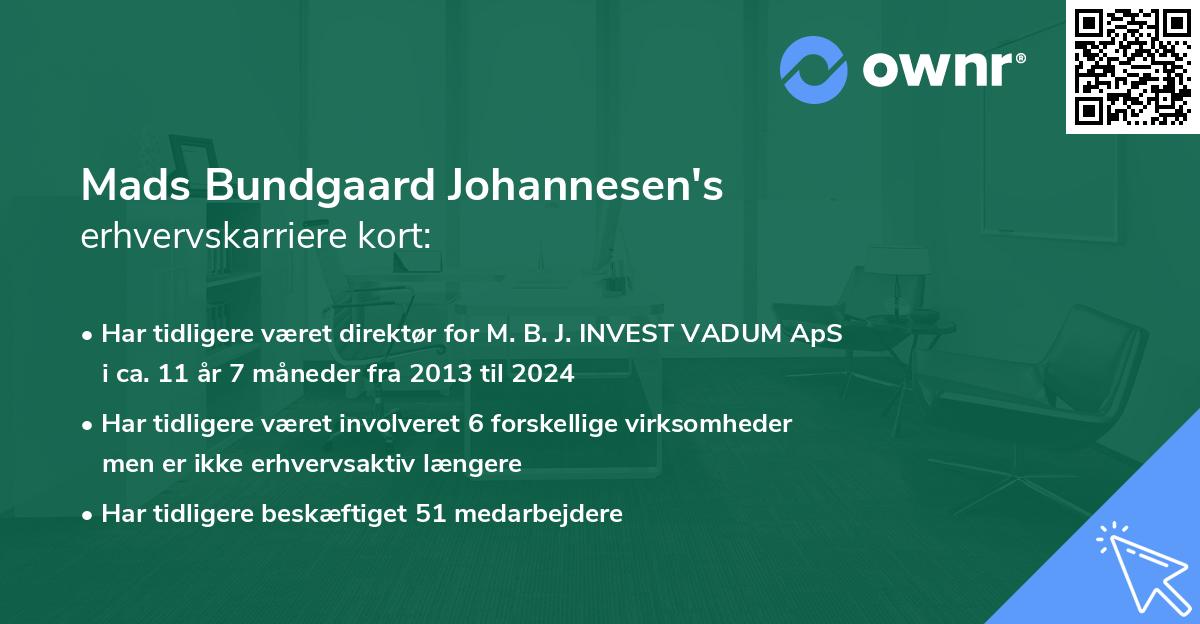 Mads Bundgaard Johannesen's erhvervskarriere kort