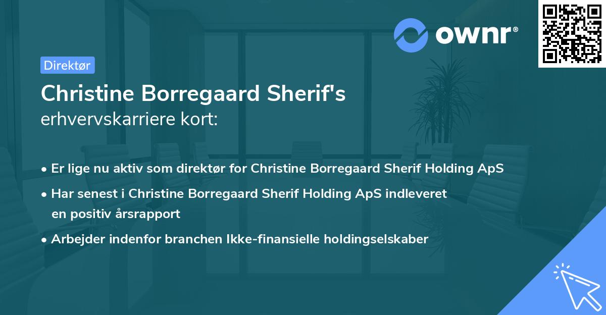 Christine Borregaard Sherif's erhvervskarriere kort