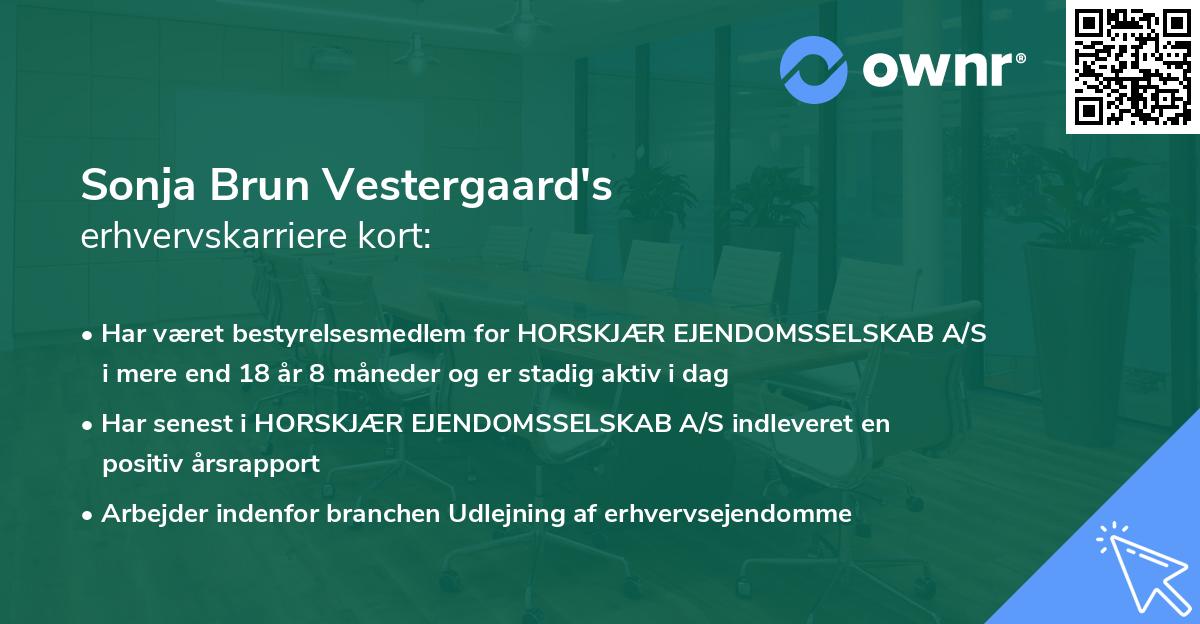 Sonja Brun Vestergaard's erhvervskarriere kort