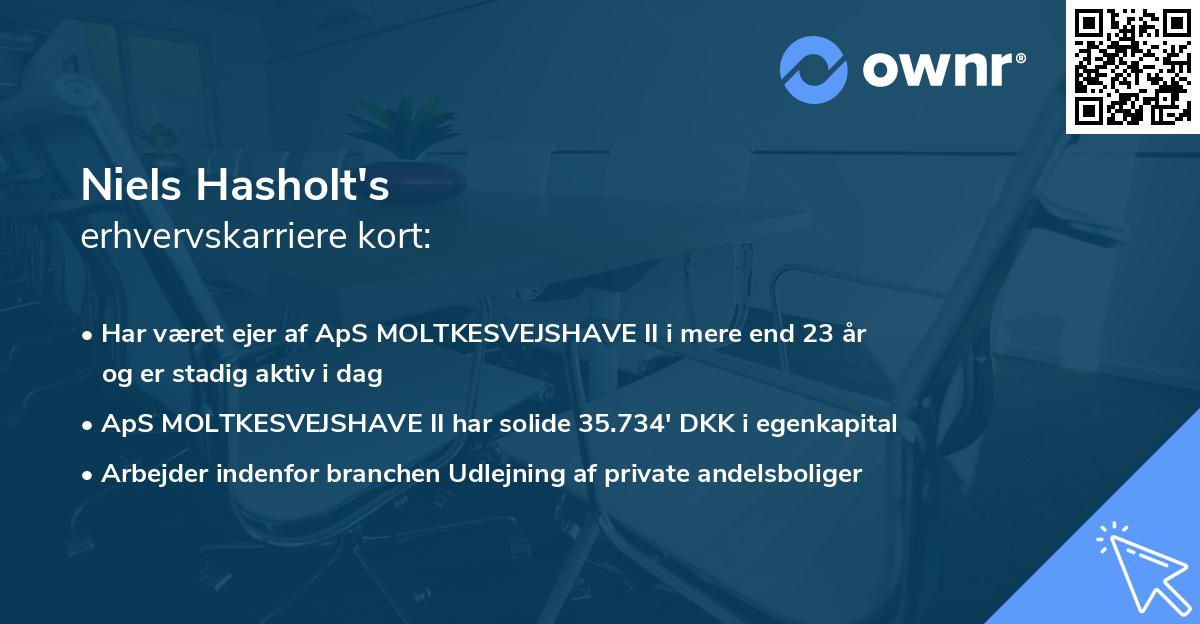 Niels Hasholt's erhvervskarriere kort